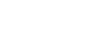 Splendid surprise logo v1 white