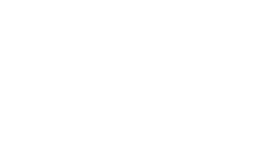 Splendid surprise logo v1 white
